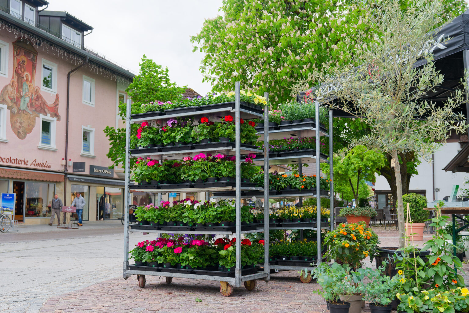 DSC 0564 Werbegemeinschaft