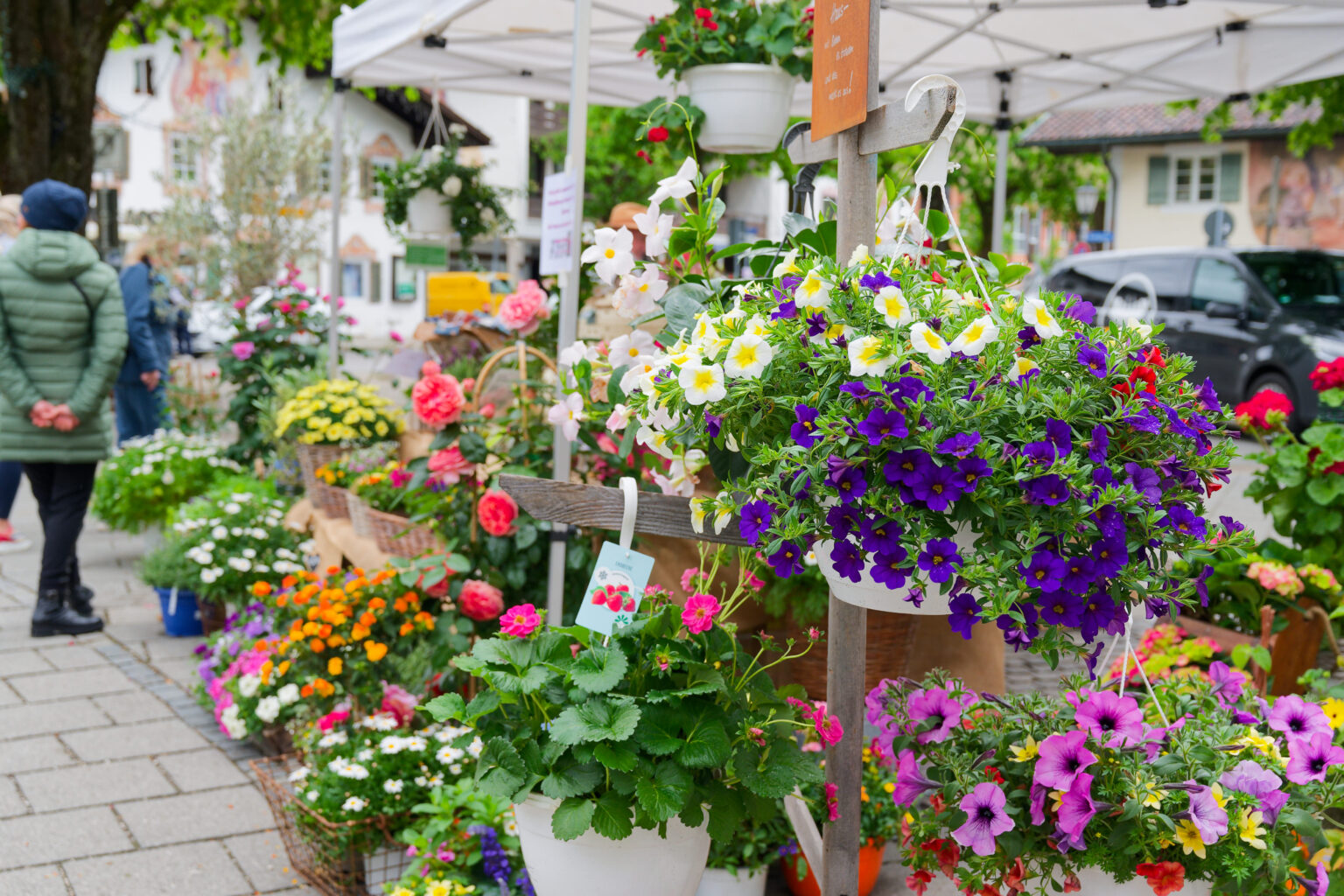 DSC 0573 Werbegemeinschaft