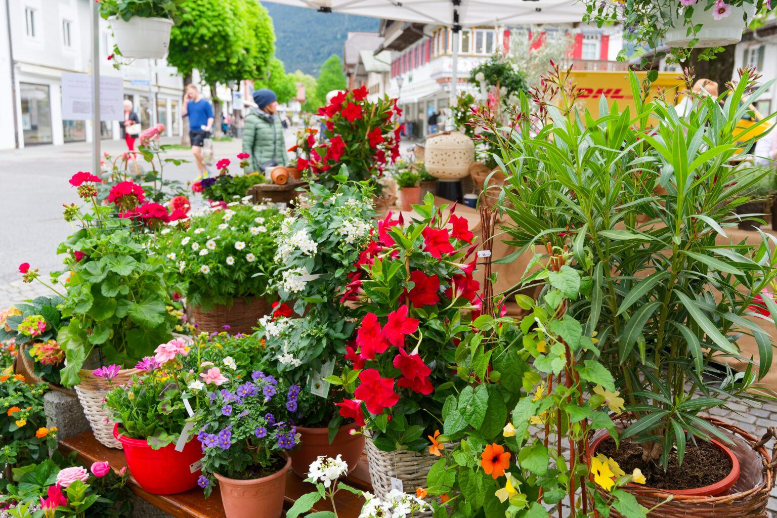 DSC 0577 Werbegemeinschaft