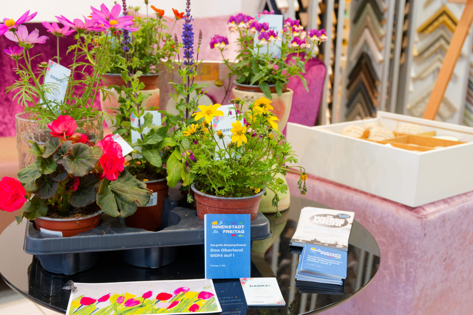 DSC 0582 Werbegemeinschaft