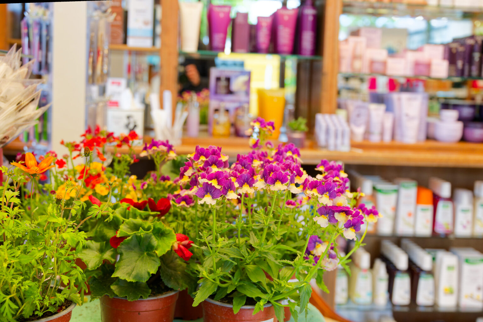 DSC 0584 Werbegemeinschaft