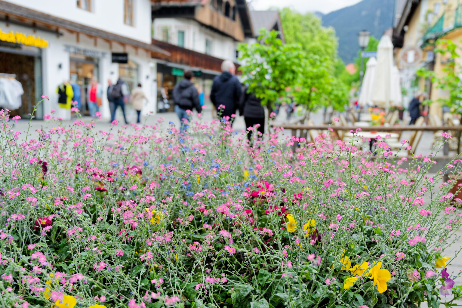 DSC 0604 Werbegemeinschaft