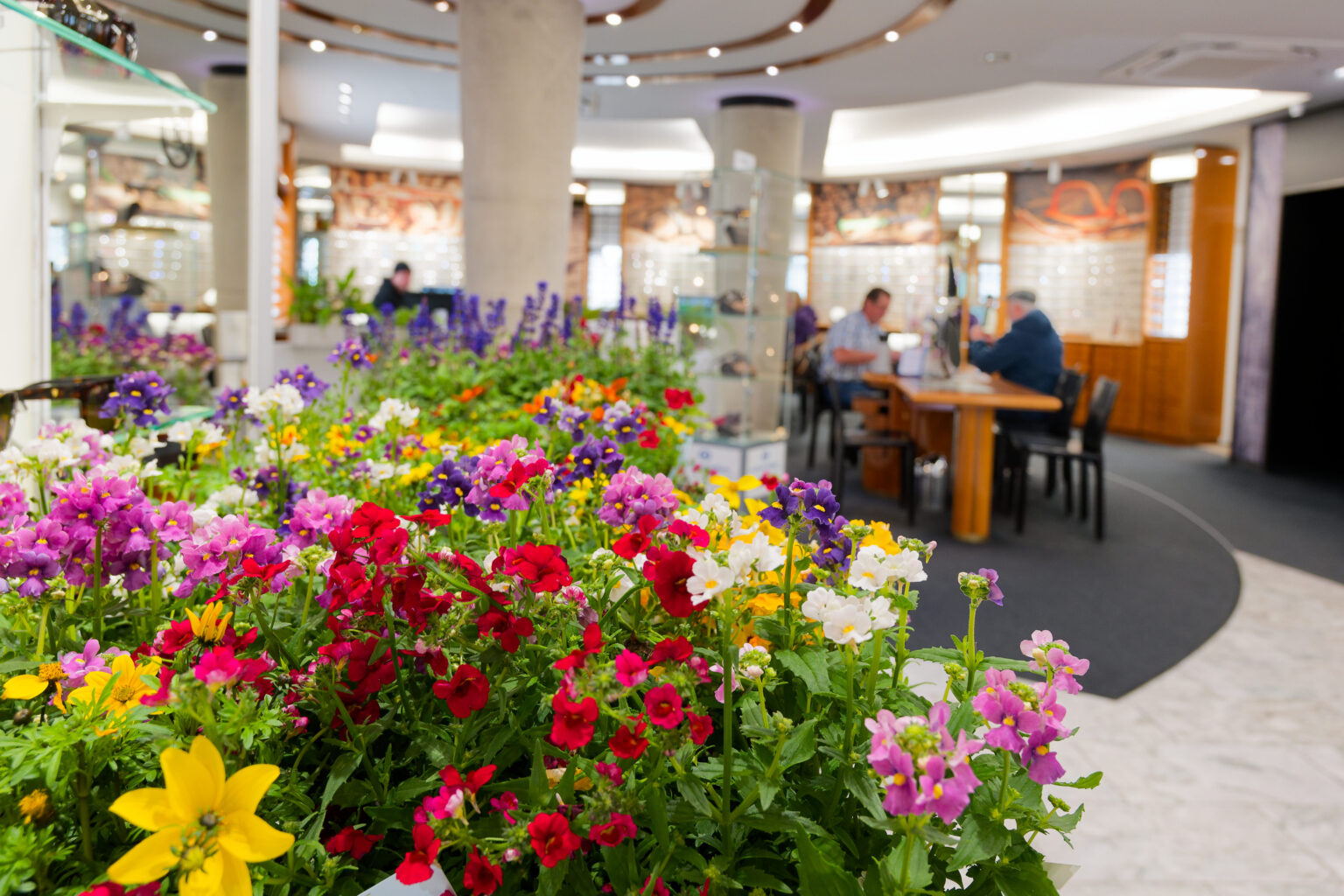 DSC 0616 Werbegemeinschaft